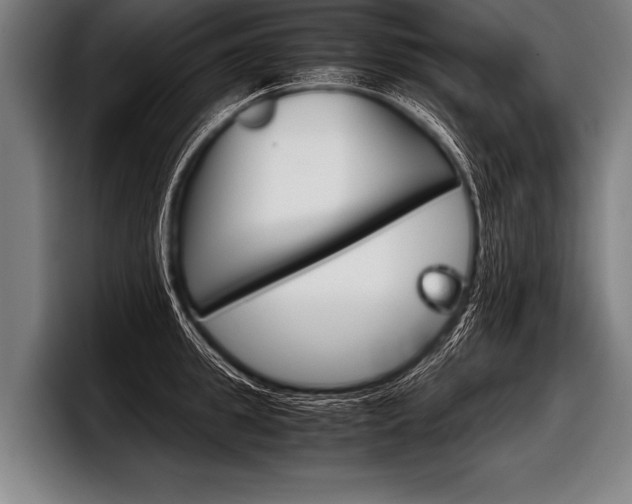 X0000098140949200804171117
