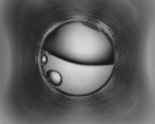 X0000098140952200804171117