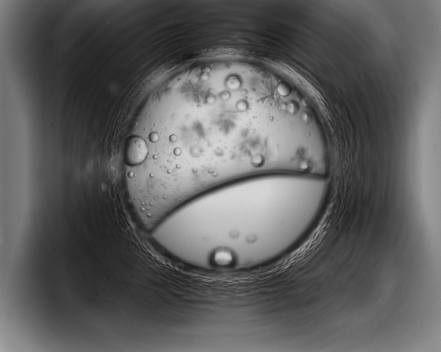 X0000098140953200804171117