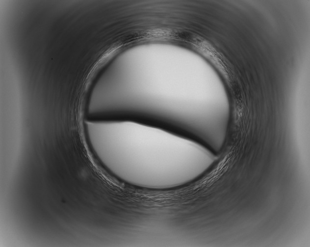 X0000098140954200804171117