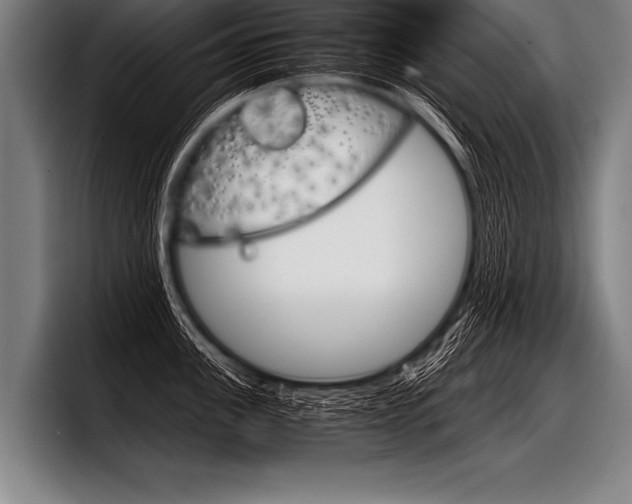 X0000098140955200804171117