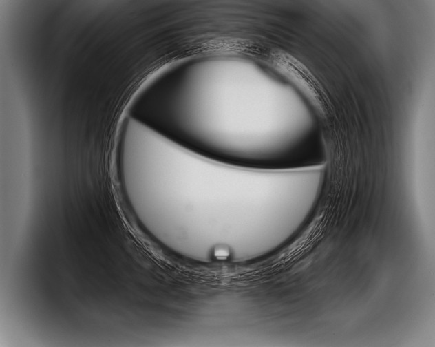 X0000098140956200804171117