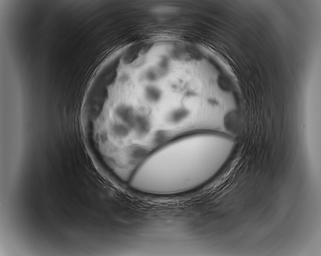 X0000098140957200804171117