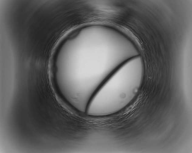 X0000098140958200804171117
