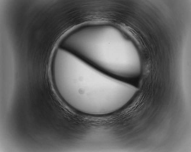 X0000098140959200804171117