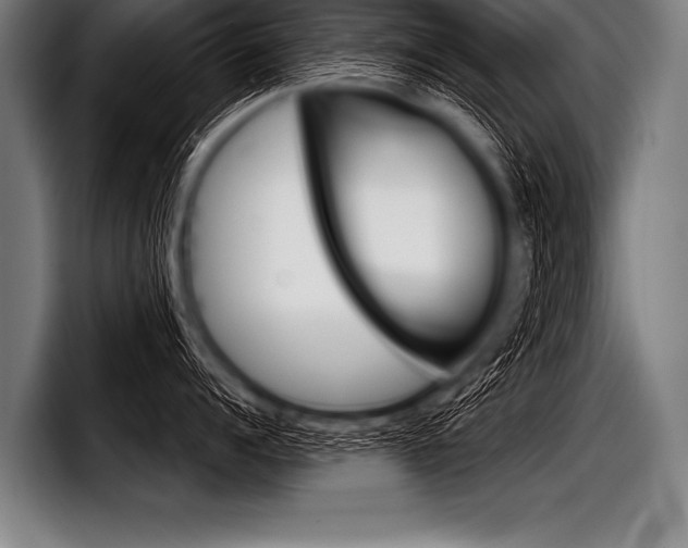 X0000098140960200804171117