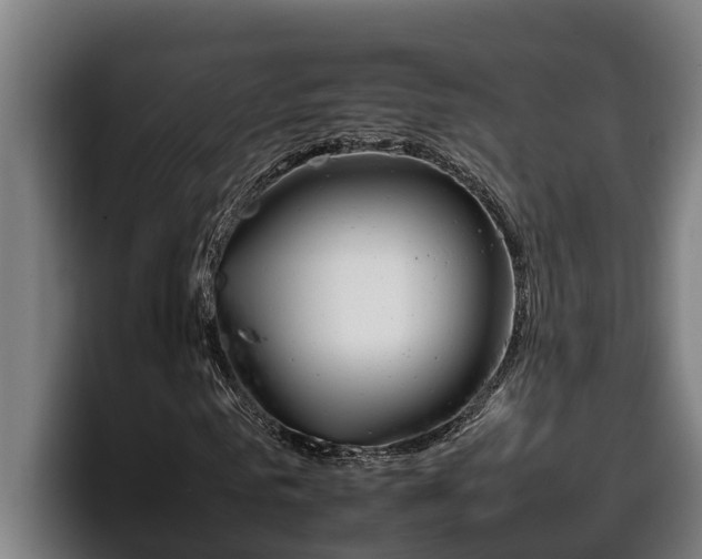 X0000098140961200804171117