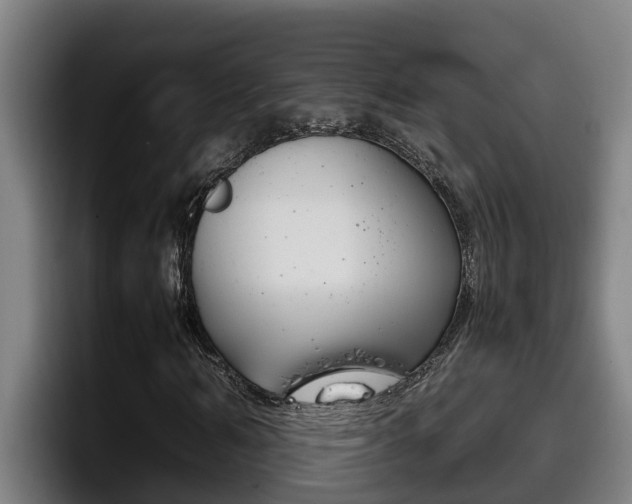 X0000098140962200804171117