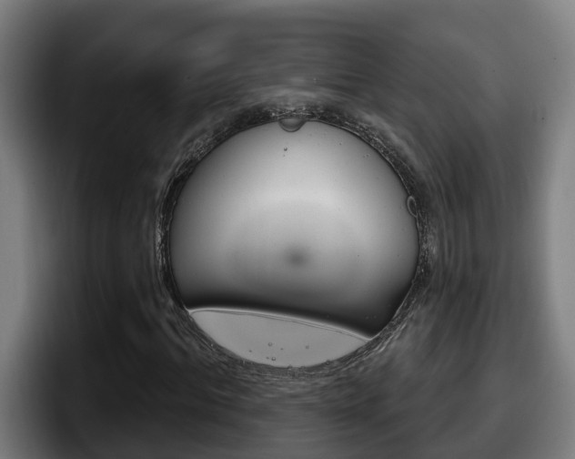X0000098140964200804171117