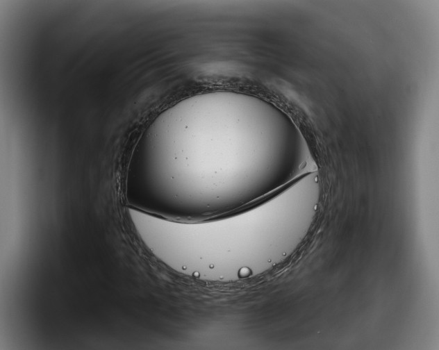 X0000098140965200804171117