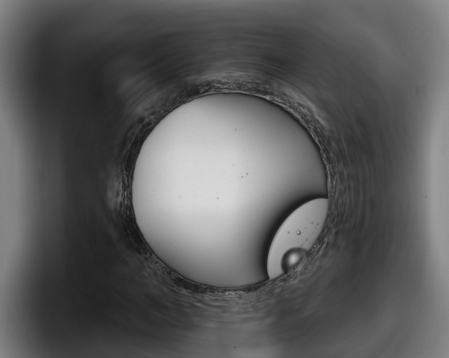 X0000098140966200804171117