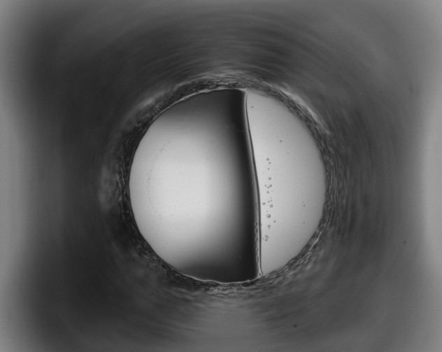 X0000098140967200804171117
