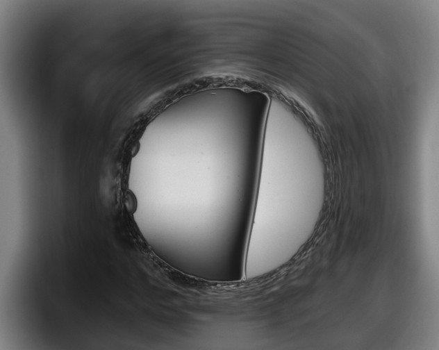 X0000098140968200804171117