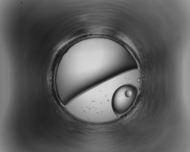 X0000098140971200804171117