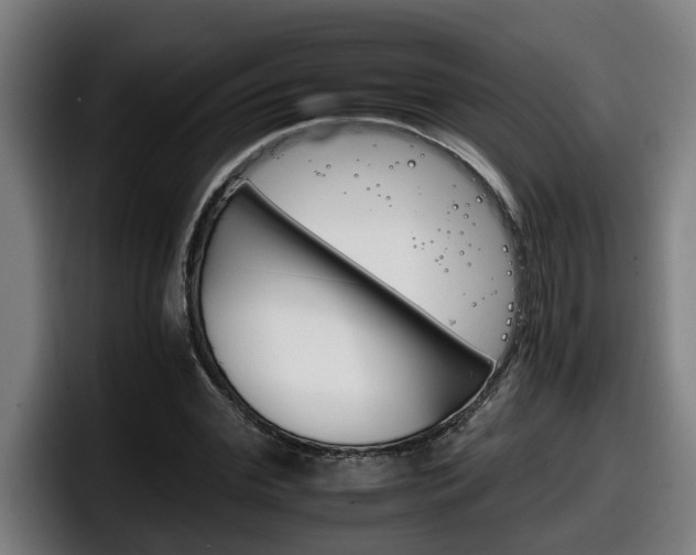 X0000098140972200804171116