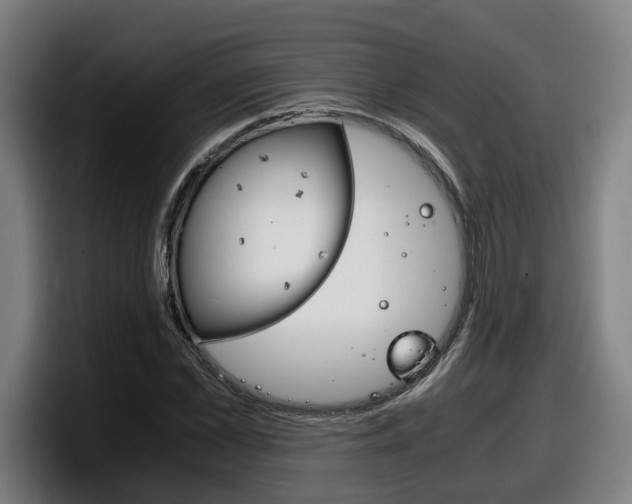 X0000098140973200804171116