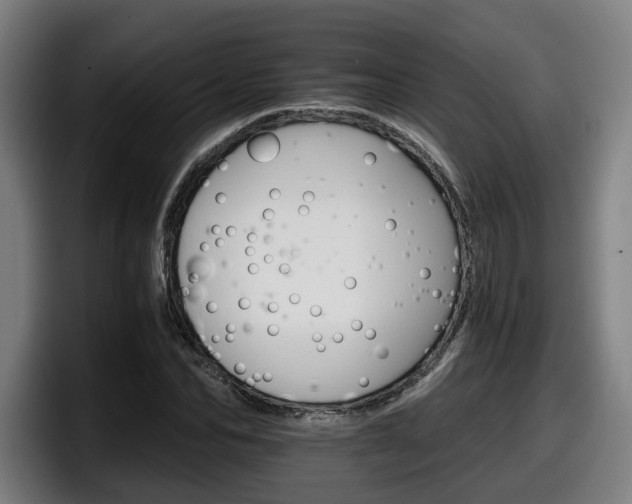 X0000098140974200804171116