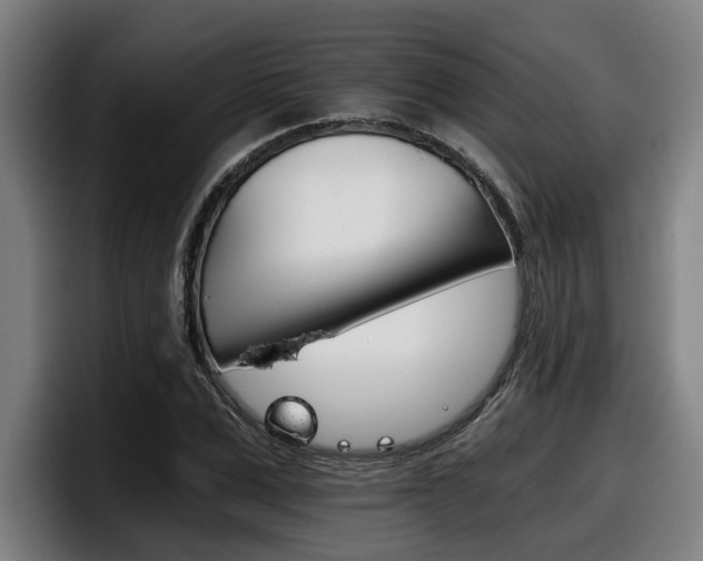 X0000098140975200804171116