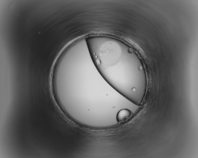 X0000098140976200804171116
