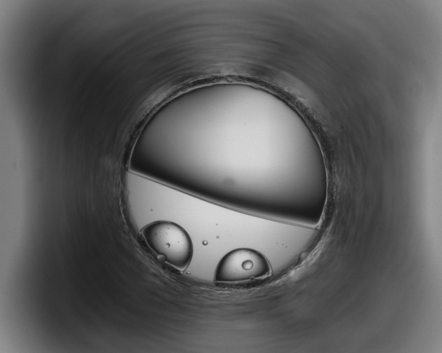 X0000098140977200804171116