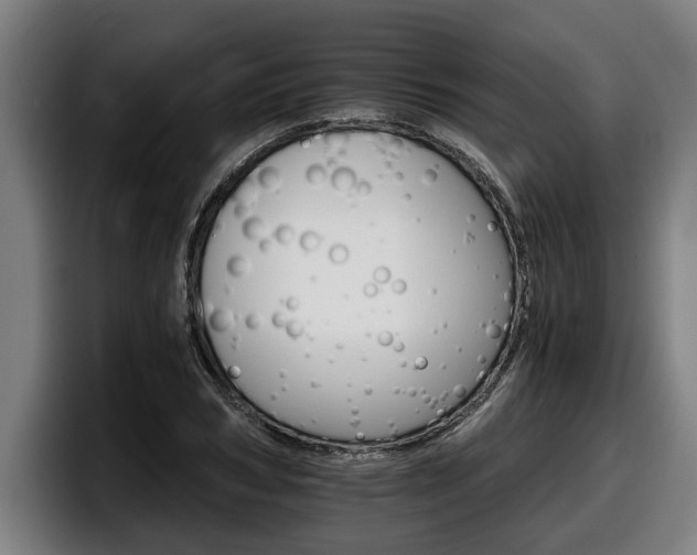 X0000098140978200804171116