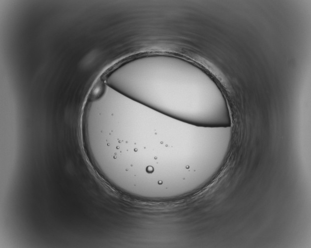X0000098140980200804171116