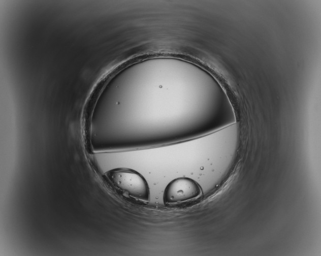 X0000098140981200804171116