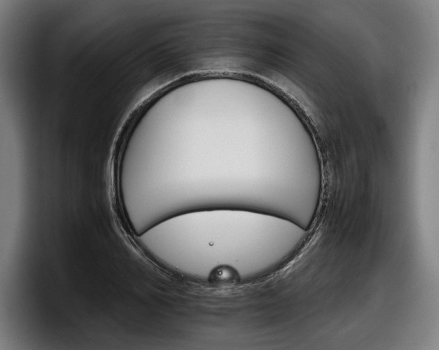 X0000098140982200804171116