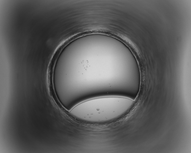 X0000098140983200804171116