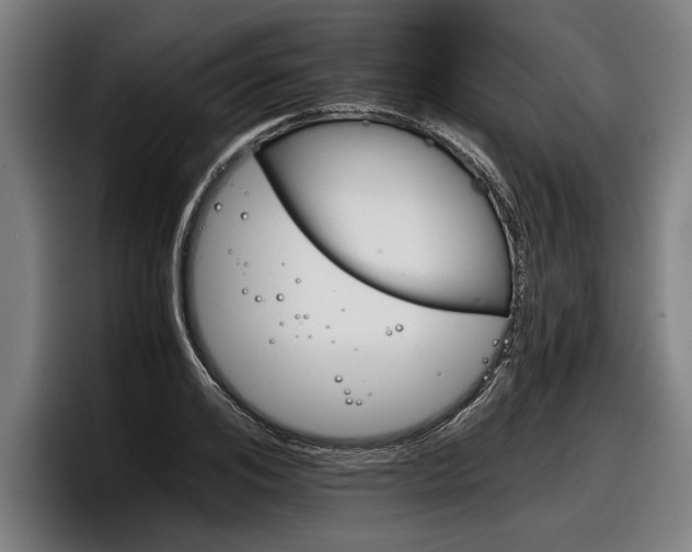 X0000098140984200804171116