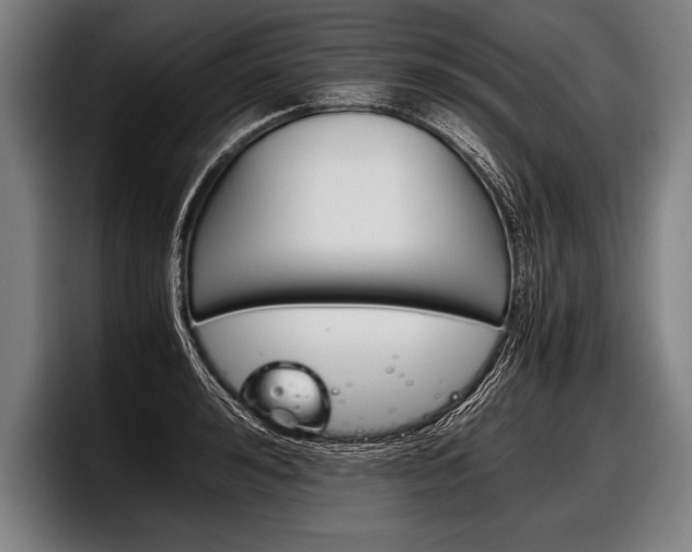 X0000098140992200804171116