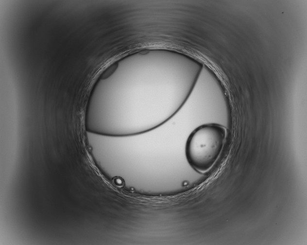 X0000098140993200804171116