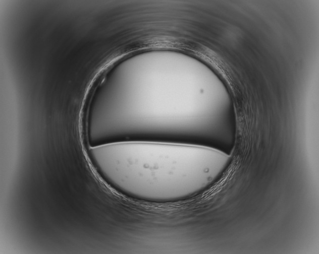 X0000098140995200804171116