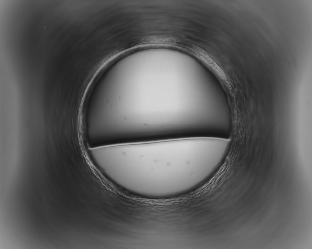 X0000098140996200804171116