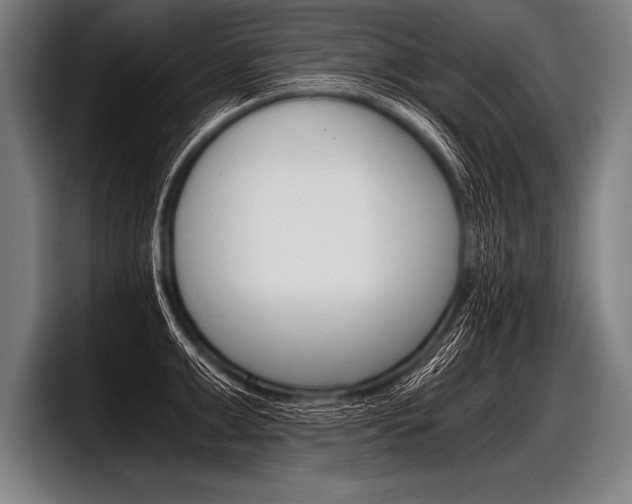 X0000098140999200804171116
