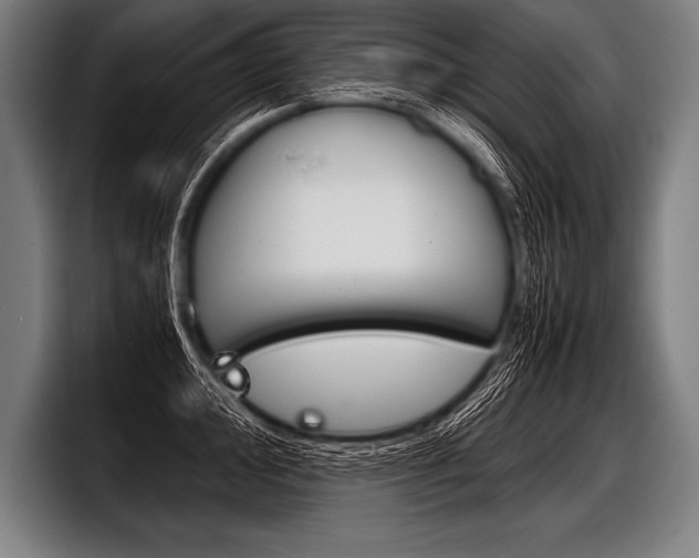 X0000098141000200804171116