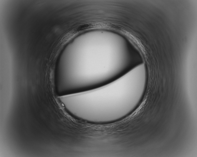 X0000098141001200804171116