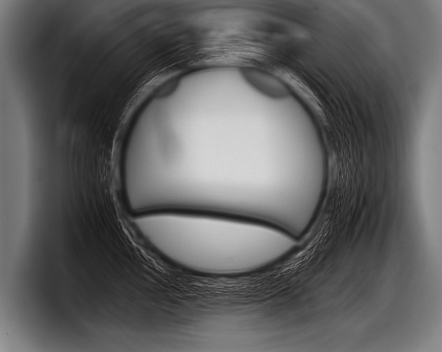 X0000098141002200804171116