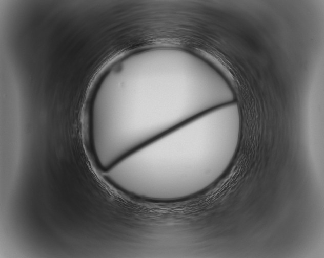 X0000098141003200804171116