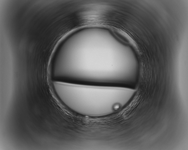 X0000098141004200804171116