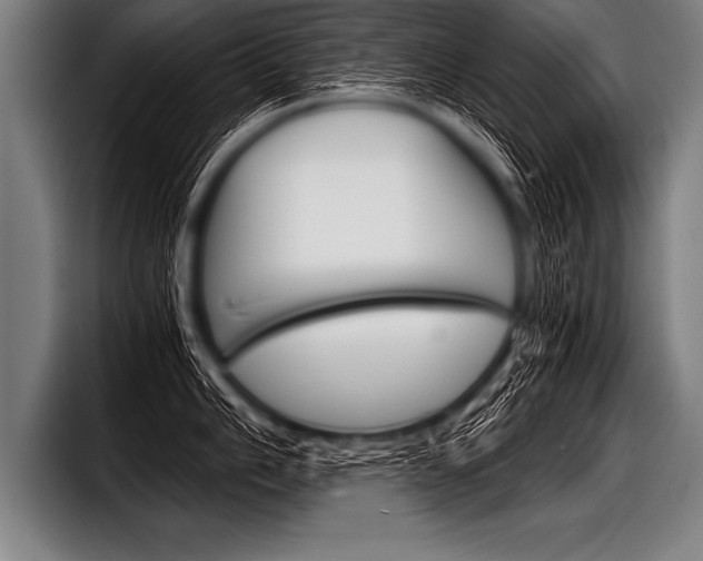 X0000098141006200804171116
