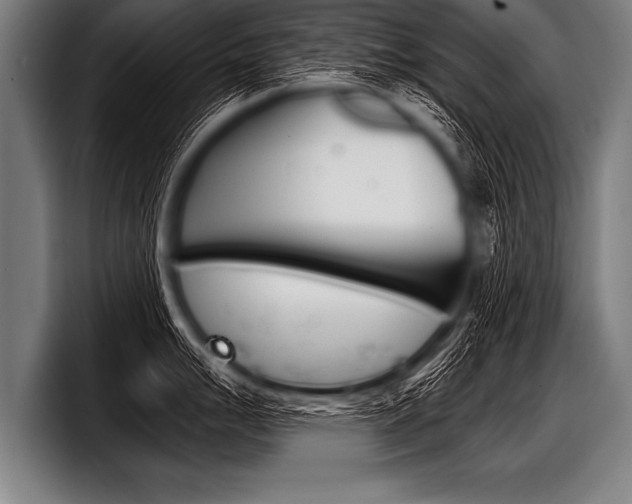 X0000098141007200804171116