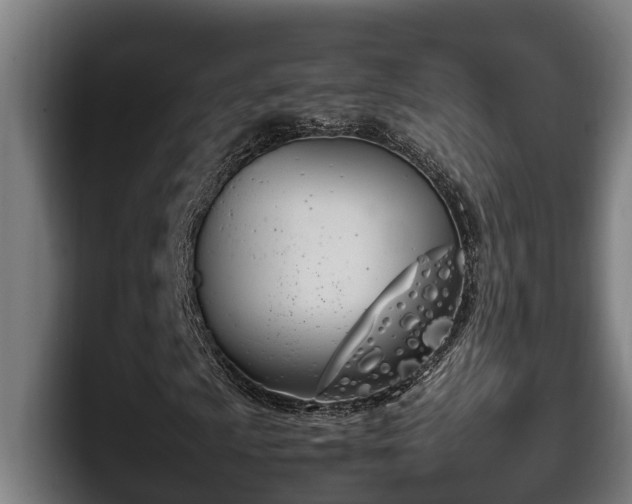 X0000098141009200804171115