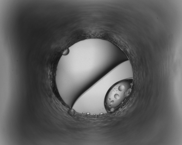 X0000098141010200804171115