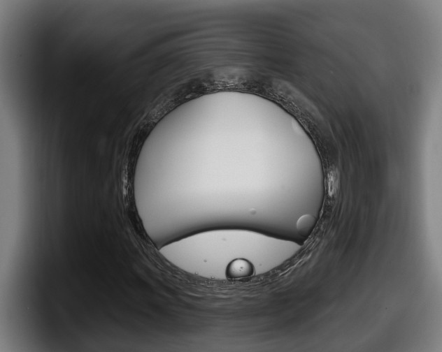 X0000098141011200804171115