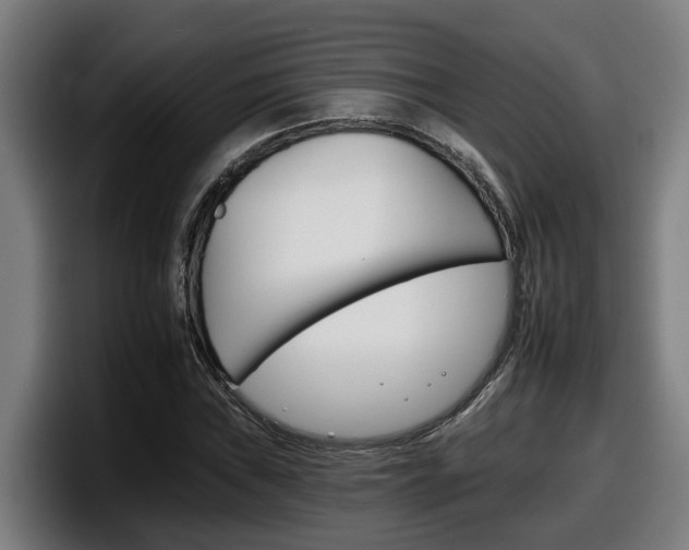 X0000098141019200804171115