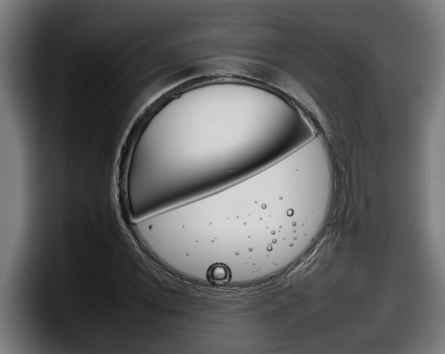 X0000098141020200804171115