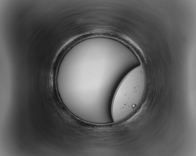 X0000098141021200804171115