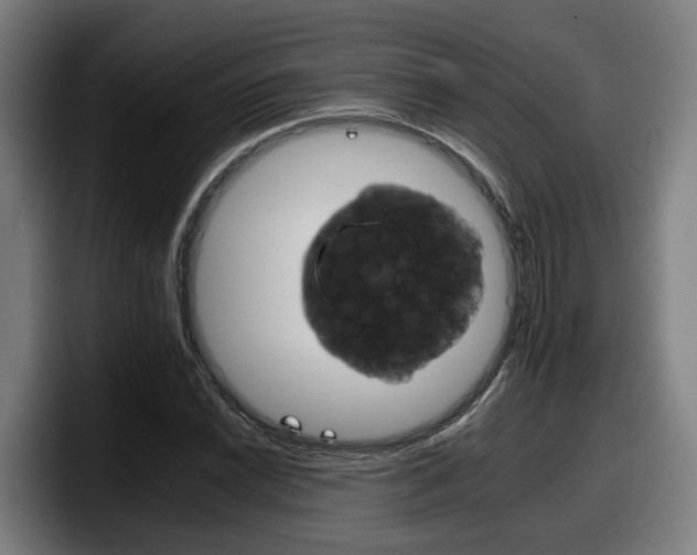 X0000098141022200804171115