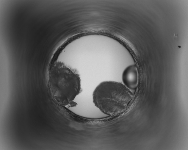X0000098141023200804171115